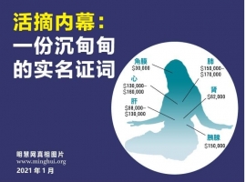 【干净世界】与你分享大型免费电影，视频，歌曲/音乐