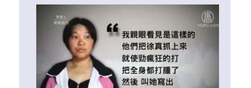 【干净世界】与你分享大型免费电影，视频，歌曲/音乐